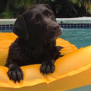 Meet your Posher, Milly